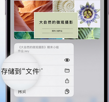 峪泉镇apple维修中心分享iPhone文件应用中存储和找到下载文件