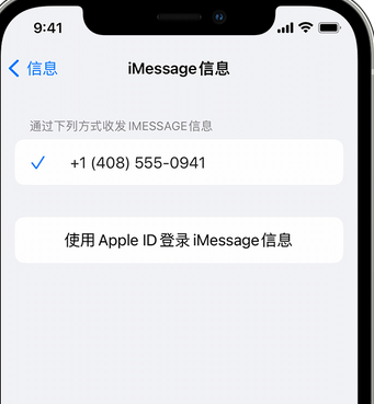 峪泉镇apple维修iPhone上无法正常发送iMessage信息 