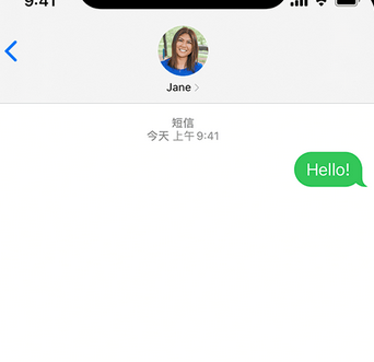 峪泉镇apple维修iPhone上无法正常发送iMessage信息