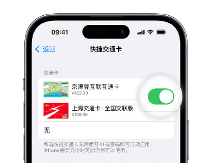 峪泉镇apple维修点分享iPhone上更换Apple Pay快捷交通卡手绘卡面 