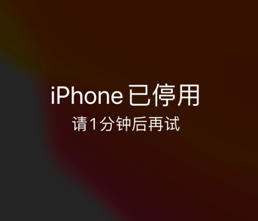 峪泉镇苹果手机维修分享:iPhone 显示“不可用”或“已停用”怎么办？还能保留数据吗？ 