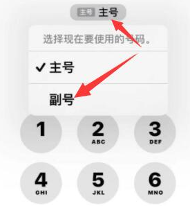 峪泉镇苹果14维修店分享iPhone 14 Pro Max使用副卡打电话的方法 