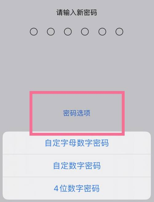 峪泉镇苹果14维修分享iPhone 14plus设置密码的方法 