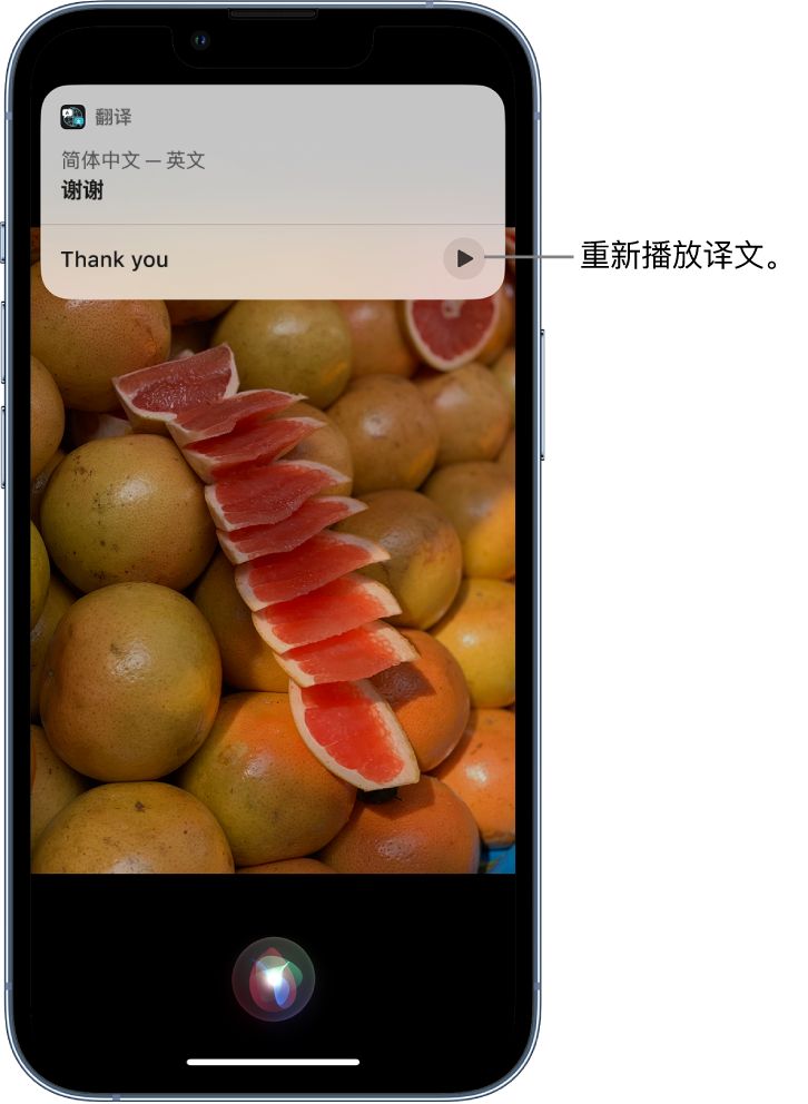 峪泉镇苹果14维修分享 iPhone 14 机型中使用 Siri：了解 Siri 能帮你做什么 