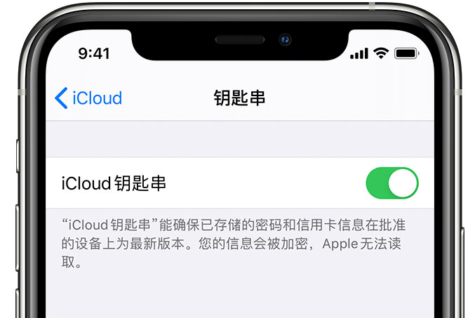 峪泉镇苹果手机维修分享在 iPhone 上开启 iCloud 钥匙串之后会储存哪些信息 